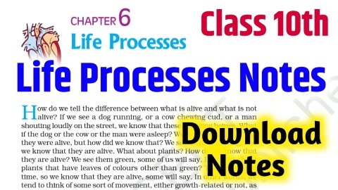 life processes class 10 notes