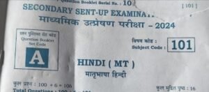 19 November 10th hindi Question paper