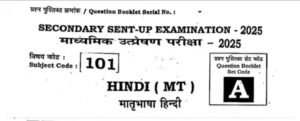 19 November 10th Hindi Sent up exam Answer Key